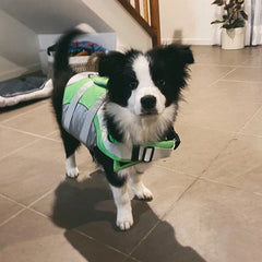 Summer Puppy Dog Life Jacket for Small Medium Dogs Reflective Pet Life Harness Vest Swim Suit French Bulldog Clothes Swimwear
