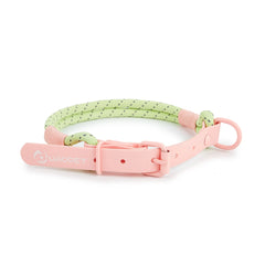 Pet Supplies Dog Collar For Small and Medium Dog Walking Sugar Color Series Cute style PVC Webbing Collar Leashes Set 2024 New