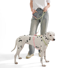 Pet Supplies Dog Collar For Small and Medium Dog Walking Sugar Color Series Cute style PVC Webbing Collar Leashes Set 2024 New