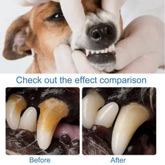 Pet Tartar Remover Natural Plaques Off & Tartar Remover for Dogs & Cats Freshen Breath Foam for Dogs & Cats Support Healthy Gums